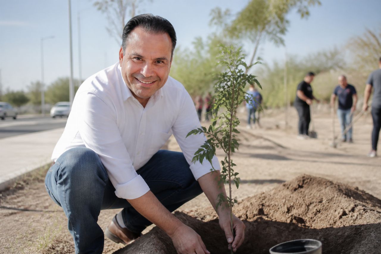 Hermosillo reporta más de 113 mil árboles plantados desde 2021